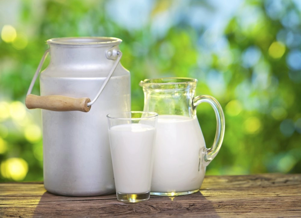 BiH u prošloj godini uvezla mlijeka u vrijednosti od 231 milion maraka, domaća proizvodnja sve manja